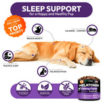 Load image into Gallery viewer, Melatonin for Dogs   Calming Chews for Dogs   Made in USA