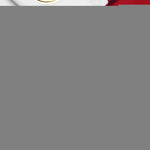 Load image into Gallery viewer, G128 Florida FL State Flag  5x8 Ft  ToughWeave Series Embroidered 210D Polyester  Embroidered Design, Indoor/Outdoor, Vibrant Colors, Brass Grommets
