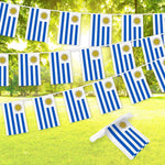 Load image into Gallery viewer, G128 Uruguay 	Uruguayan Bunting Banner  Flag 8.2 x 5.5 Inch, Full String 33 Feet  Printed 150D Polyester, Decorations For Bar, School, Festival Events Celebration