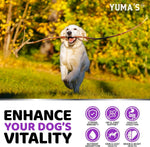 Load image into Gallery viewer, Dog Multivitamin Chews with Glucosamine 240 Count Hip &amp; Joint Immune Support