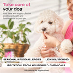 Load image into Gallery viewer, Dog Allergy Relief Chews   Dog Itching Skin Relief   Anti Itch   Skin Health