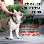 Load image into Gallery viewer, Recycled Cotton Dog Leash 6 Ft 10 Ft Eco Friendly Collar for Small Medium &amp; Large Dogs Reflective Dog Leash for Medium Dogs Strong Leashes for Large Breed Dogs Puppy Leash for Small Dogs
