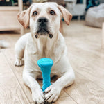 Load image into Gallery viewer, Blue Dog Fetch Toy Outdoor Barbell Dog Toy for Small Medium and Large Dogs