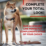 Load image into Gallery viewer, Recycled Cotton Dog Leash 4/5 inch - 6 Ft Eco Friendly Collar for Small Medium &amp; Large Dogs Reflective Dog Leash for Medium Dogs Strong Leashes for Large Breed Dogs Puppy Leash for Small Dogs