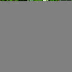 Load image into Gallery viewer, Garden Flag Welcome Gnome with Watermelon Slice 12x18 Blockout Fabric