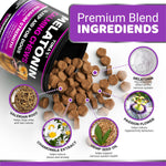 Load image into Gallery viewer, Melatonin Calming Chews for Dogs 170 Chews Dog Stress and Anxiety Relief