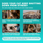 Load image into Gallery viewer, Cat Calming Treats  500 Crunchy Calming Cat Treats with Melatonin for Cats Valerian Root LTheanine Taurine &amp; Probiotics  Cat Vitamins and Supplements for Stress Anxiety Relief All Breeds