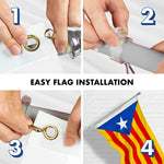 Load image into Gallery viewer, Flag Pole 6FT Silver Tangle Free &amp; Blue Estelada Flag 3x5 Ft Combo Printed 150D Polyester By G128