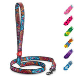 Load image into Gallery viewer, Nylon Dog Leash for Medium and Large Dogs 4 Ft x 1 inch Wide Summer Color