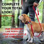 Load image into Gallery viewer, WAUDOG Waterproof Dog Leash 4 Ft 6 Ft Anti Slip Dog Leash for Large Dogs Small and Medium Dogs Heavy Duty Dog Leash with Water and Dirt Resistant Long Or Short Dog Leashes for Boy &amp; Girl Dogs