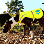 Load image into Gallery viewer, Urban Dog Reflective Vest L Size Fluorescent Hi Visibility Dog Jacket Yellow