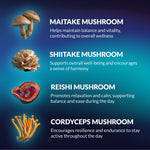 Load image into Gallery viewer, Mushroom Gummies Lion's Mane and Reishi for Cognitive Clarity 60 Gummies