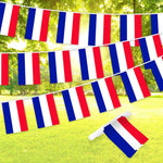 Load image into Gallery viewer, G128 Netherlands Dutch Bunting Banner  Flag 8.2 x 5.5 Inch, Full String 33 Feet  Printed 150D Polyester, Decorations For Bar, School, Festival Events Celebration
