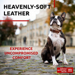 Load image into Gallery viewer, Soft Leather Dog Collar Adjustable Padded Dog Collar for Small Medium and Large Dogs Classic Puppy Collars for Large Breed Dogs Boy &amp; Girl Dog Collars with Durable Buckle and QR Dog Tag (Brown)