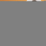 Load image into Gallery viewer, Cinnamon Gummies Blood Support Ceylon Cinnamon Bark 2000MG Blend 60 Gummies