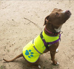 Load image into Gallery viewer, Reflective Dog Safety Vest Hi-Vis XL Size Neon Yellow