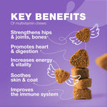 Load image into Gallery viewer, Dog Vitamins 15 in 1 Multivitamin Chews with MSM for Hip Joint Health Dog