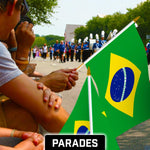 Load image into Gallery viewer, G128 12 Pack Handheld Brazil Brazilian Stick Flags  12x18 In  Printed 150D Polyester, Country Flag, Solid Wooden Stick, Spear Gold Tip