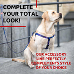 Load image into Gallery viewer, Nylon Dog Leash for Medium and Large Dogs 4 Ft x 1 Wide NASA Design Heavy Duty