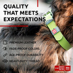 Load image into Gallery viewer, Long Lasting Leather Dog Collar 15  20 in Neck x 1 inWide for Large Medium