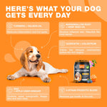 Load image into Gallery viewer, Dog Allergy Relief Chews  Itch Relief for Dogs  180 Allergy Chews for Itching Skin with Probiotics, Colostrum, Salmon Oil  Allergy, Skin and Coat, Immune, Digestion Support Supplement  Hot Spots