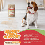 Load image into Gallery viewer, Dog Cranberry Supplement Natural Dog UTI Treatment &amp; Kidney Support for Dogs