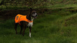 Load image into Gallery viewer, Soft shell Waterproof Dog Vest Chest Size 36.75 In Neck Size:23 in Hi