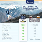 Load image into Gallery viewer, Shilajit Gummies 1000mg, Shilajit Gummies for Men and Women, Energy, Immunity