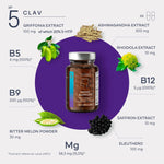 Load image into Gallery viewer, Mood Support Supplement with Ashwagandha Saffron Extract 5 HTP Griffonia