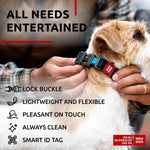 Load image into Gallery viewer, Black Waterproof Dog Collar Adjustable for Small Dog 9 - 14 inch Neck Plastic Buckle
