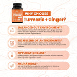 Load image into Gallery viewer, High Potency 1200mg Turmeric and Ginger Supplement Antioxidant 180 Capsules