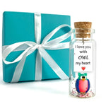 Load image into Gallery viewer, Cute and Kawaii Anniversary Presents Personalized Love Gifts for Boyfriend Girlfriend Romantic Gift for Her Him (Colorful Owl I Love You with Owl My Heart in Teal Gift Box)