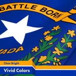 Load image into Gallery viewer, G128 5 Pack: Nevada NV State Flag  3x5 Ft  LiteWeave Pro Series Printed 150D Polyester  Indoor/Outdoor, Vibrant Colors, Brass Grommets, Thicker and More Durable Than 100D 75D Polyester