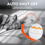 Load image into Gallery viewer, Interactive Cat Toy Dino Egg White Automatic Toy with 360 Degree Rotation Auto