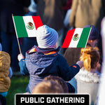 Load image into Gallery viewer, G128 50 Pack Handheld Mexico Mexican Stick Flags  12x18 In  Printed 150D Polyester, Country Flag, Solid Wooden Stick, Spear Gold Tip