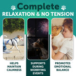Load image into Gallery viewer, Calming Chews for Dogs Anxiety Relief Treats with Turmeric Valerian Ginger 120