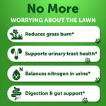 Load image into Gallery viewer, Grass Burn Spot Chews for Dogs 120 Treats Pee Lawn Spot Saver Caused by Dog