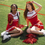 Load image into Gallery viewer, Cheerleader Pompom Dance Party Accessories   6Pcs Party Dress Cheerleading Gifts   Cheer Gifts Party Set   Dance Costume for Graduation Noise Makers and Sporting Events Makers Pink Cheer Pom Poms
