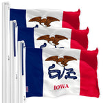 Load image into Gallery viewer, Iowa IA State Flag 3x5 Ft 3Pack 150D Printed Polyester Brass Grommets