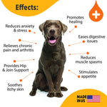 Load image into Gallery viewer, Hemp Oil for Dogs &amp; Cats   Large 2oz Bottle Made in USA   Joint Pain and
