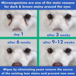 Load image into Gallery viewer, Pet Eye Wipes for Dogs Cats Puppies Kittens 100 Count Natural Medicated Remove