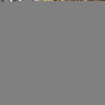 Load image into Gallery viewer, Lite Dog Vest Chest Size 26 Inch Neck Size 21 inch Coverage to Mid Back M Size