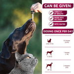 Load image into Gallery viewer, Natural Cranberry UTI Support for Cats Dogs Premium Kidney Bladder Health