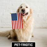 Load image into Gallery viewer, G128 50 Pack Handheld American USA Stick Flags  12x18 In  Printed 150D Polyester, Country Flag, Solid Wooden Stick, Spear Gold Tip, Great for Patriotic Decorations