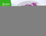 Load image into Gallery viewer, Organic Variety Pack   Premium Shirataki Konjac Pasta   USDA Organic 100% Plant Based Keto Friendly Zero Net Carb Non GMO Ready to Eat Low Calorie Gluten Free Vegan Diet 6 Pack