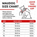 Load image into Gallery viewer, Rolled Leather Dog Collar Padded Small Dogs 21–24 in Neck Blue