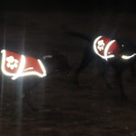 Load image into Gallery viewer, Reflective Dog Vest Hi-Vis M Size 27.63 in Chest x 19 in Neck Blue