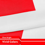 Load image into Gallery viewer, Switzerland (Swiss) Flag 150D Printed Polyester 3x5 Ft