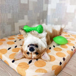 Load image into Gallery viewer, Dumbbell Dog Fetch Toy Outdoor Barbell Dog Toy for Small Medium and Large Dogs