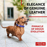 Load image into Gallery viewer, Purple Long Lasting Leather Dog Collar for XSmall Dogs 811 inch Neck x 1/2 inch